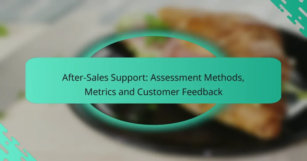 After-Sales Support: Assessment Methods, Metrics and Customer Feedback