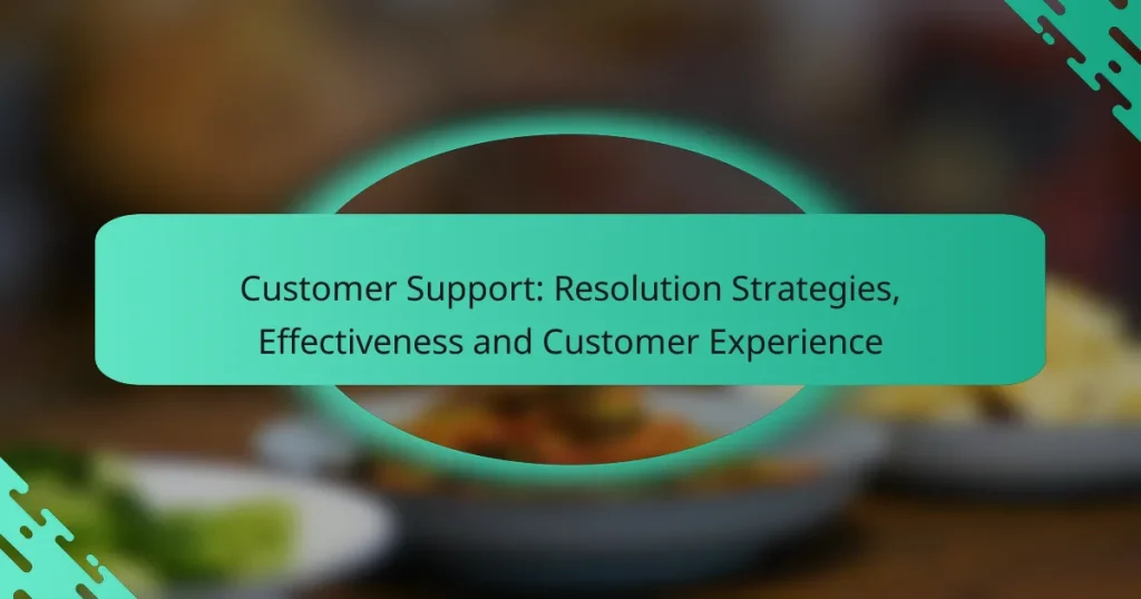 Customer Support: Resolution Strategies, Effectiveness and Customer Experience
