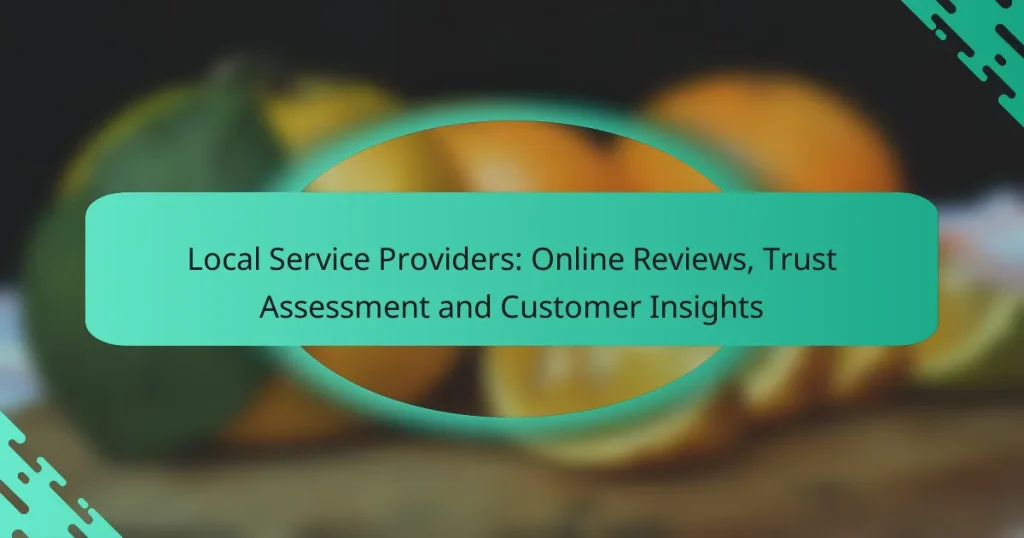 Local Service Providers: Online Reviews, Trust Assessment and Customer Insights
