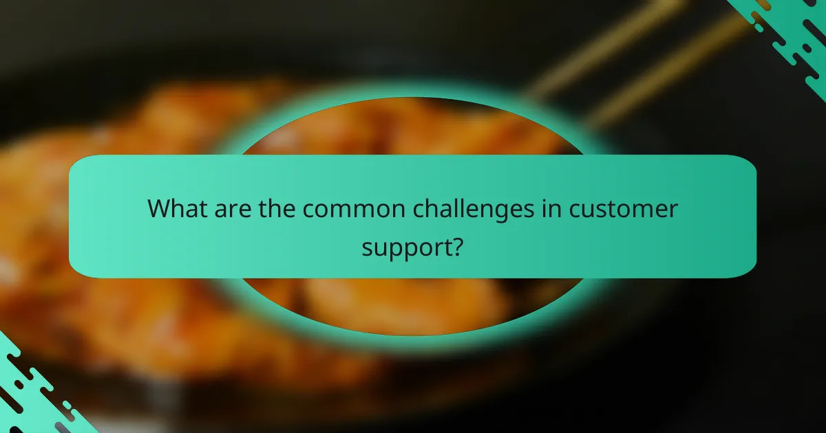What are the common challenges in customer support?